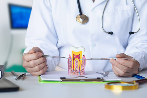 Best Emergency Wisdom Teeth Removal in Sterling, VA